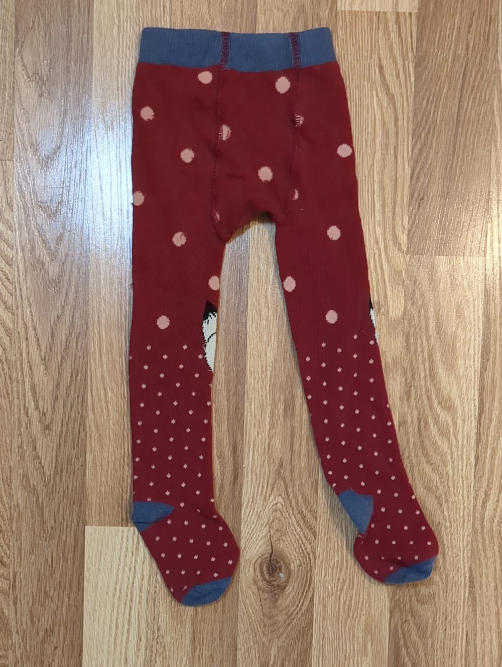 Matilda Jane Red Fox Polka Dot Tights with Blue Accents 12-24 Mo